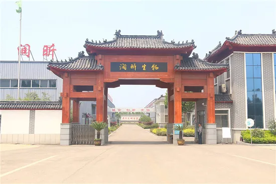 대만메이 해양 기반 콜라겐 분말, 중국산 향미 콜라겐 단백질 분말, 천연 보습 인자, 대구 피부 콜라겐 생선 보충제 함유
